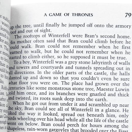 权力的游戏 英文原版小说 A Game of Thrones冰与火之歌1 A Song of Ice and Fire乔治马丁搭霍特比人魔戒指环王哈利波特全套 商品图3