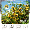 黔雅集有机刺梨原液礼品装50ml*10袋*3盒 商品缩略图4