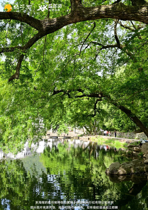 【遇见红杉】 余姚四明湖红杉林+古树群纯玩1日游【中奥宁波】 商品图1