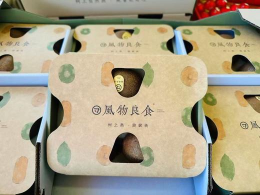 风物良食树上熟硬果即食翠香猕猴桃 商品图0