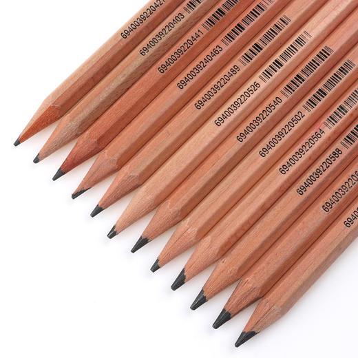 GPC-1205雄狮绘图铅笔原木铅笔素描组合套装画画专用初学者绘画笔手绘（外盒颜色随机） 商品图2