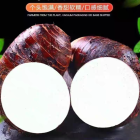 拓高 云南香糯芋头5斤装 现挖现发【周日不发货】