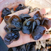 辽蕴 精品木耳150g/袋 东北黑木耳无根肉厚健康南北干货 商品缩略图2