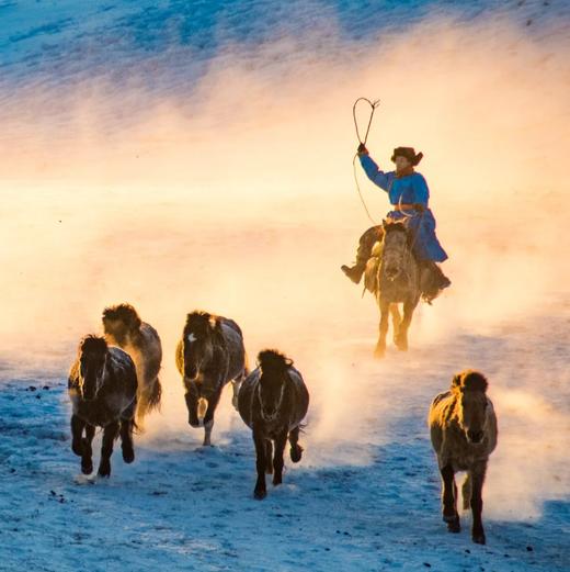 美宿丨冬韵牧歌·乌兰布统6天5晚 商品图5