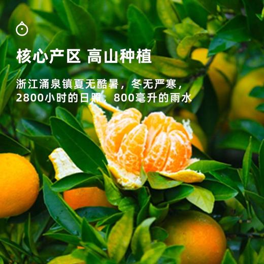 企鹅市集|浙江涌泉蜜桔 家庭装/礼盒装可选 爆汁橘子 高山橘园自然生长 商品图3