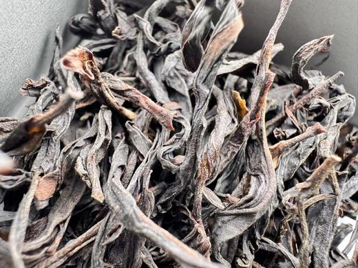 2025春  夜来香单丛——陂头种  十大香型之夜来香  125克 商品图1