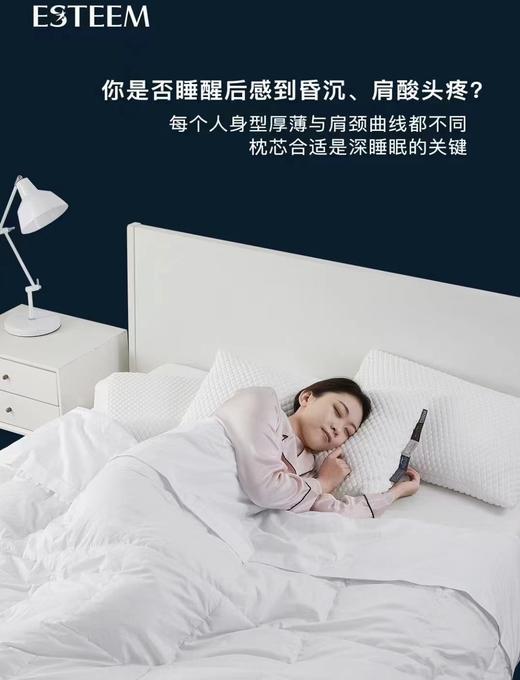 【春上新】10楼 宜庭 Talalay自由枕位零压深睡枕 吊牌价2980元  活动价1299元 商品图2