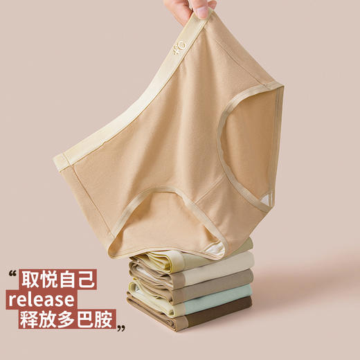 法国利蜂/LOUIS ROYER 蚕丝羽绒养肤女士内裤2.0升级版 暖感贴身 4条装 商品图0