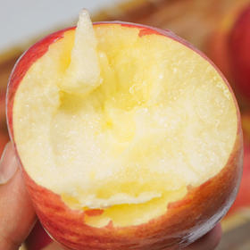 甄选 | 洛川苹果入口清甜香气浓郁果肉细腻松脆汁水充盈