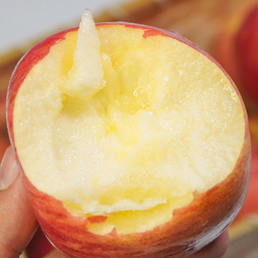 心选丨洛川苹果入口清甜香气浓郁果肉细腻松脆汁水充盈 商品图1