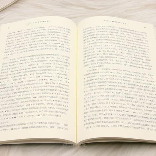 林下天麻生态种植技术（道地药材林下生态种植技术丛书） &3219 商品图2