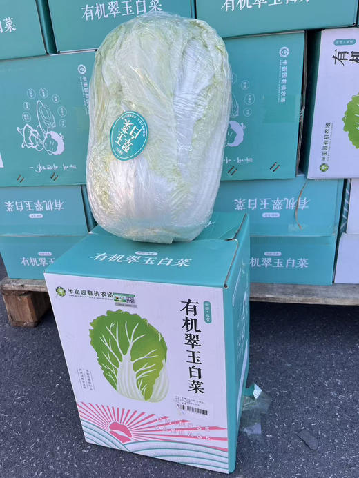 新疆有机翠玉大白菜，带有机码可溯源
自然生长，无化学农药
包装简单，保留原汁原味
新鲜送达，吃着放心 商品图2