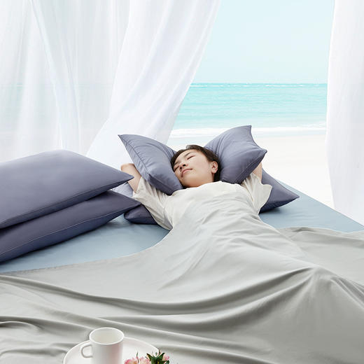 【春上新】10楼 宜庭 人体工学双核呵护鹅绒枕45*72cm 吊牌价3980元/只  活动价1999元/只 商品图0