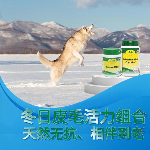 【冬季皮毛活力套装】美毛粉+高龄犬营养粉（两规格） 商品图1