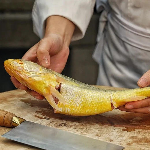 大西洋野捕大黄鱼 |大西洋海域，蕴含丰富蛋白质、钙、磷、铁、等营养【下单72小时发货】 商品图2