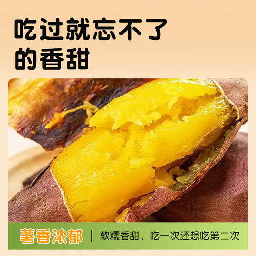 【能烤出蜜】鸣门金时地瓜红薯 品种源自日本鸣门 金黄色果肉 软糯细腻如板栗口感 商品图9