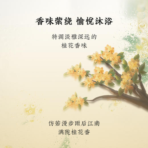 【会员购物送10倍积分】花皙蔻 桂雨江南氨基酸沐浴露300ml 商品图4