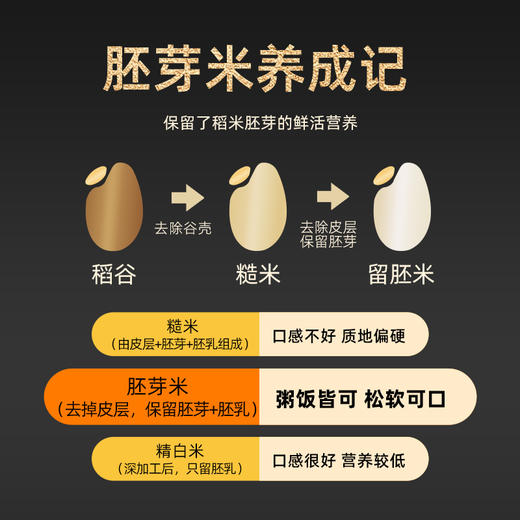 胚芽米留胚米辅食熬粥软香留胚米礼盒2kg/4斤 商品图2