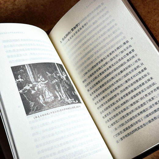 论歌剧 六点音乐译丛 歌剧文集 伯纳德·威廉斯 商品图9