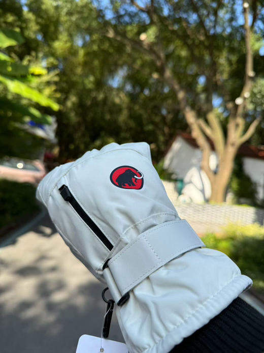 [原单保真】外网折合在售价格400➕猛犸象户外极地系列防水耐磨滑雪骑行手套 商品图3