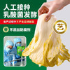 榆园 正宗东北酸菜丝500g*5袋 乳酸菌发酵 无添加防腐 商品缩略图3