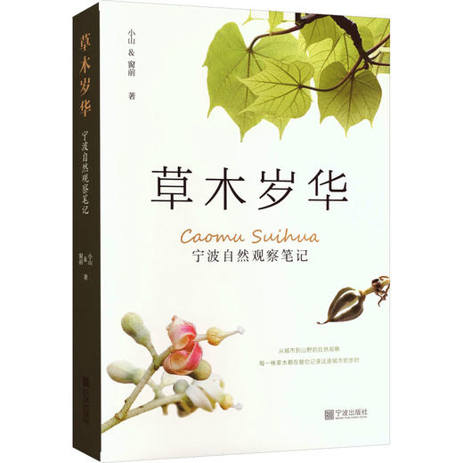 草木岁华：宁波自然观察笔记 商品图0