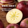 企鹅市集|四川盐源高山苹果 5斤家庭装（8-10枚）浓郁苹果香气 纯粹甜蜜果香 商品缩略图1
