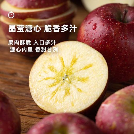 企鹅市集|四川盐源高山苹果 5斤家庭装（8-10枚）浓郁苹果香气 纯粹甜蜜果香 商品图1