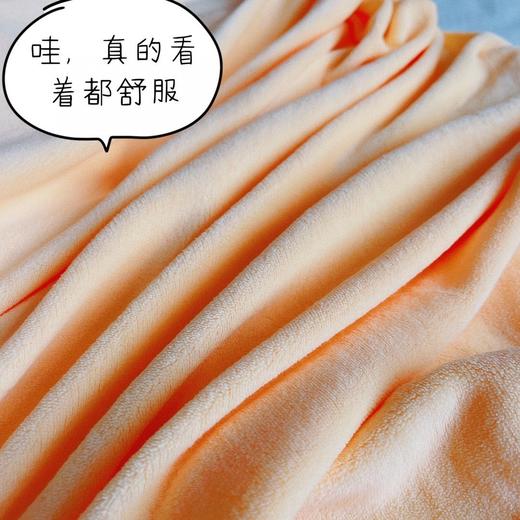 D111311冬款高克重加厚天鹅绒360度包裹床笠 商品图5