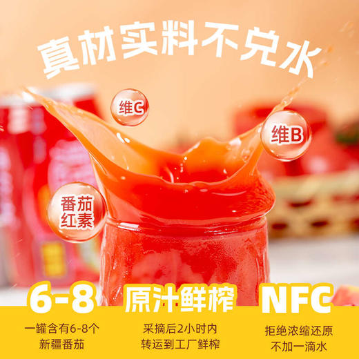 s【2025年新货】（京东/顺丰）新疆冠农番倍爽番茄汁 310ml/罐 商品图3