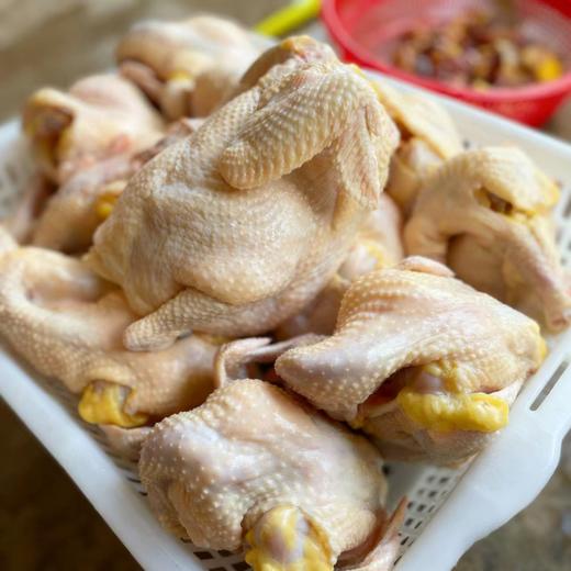 热卖中！！顺丰发货！【CCTV采访 真助农真品质】狼牙山农家散养生态珍禽（鸡鸭鹅）现宰现杀 商品图1