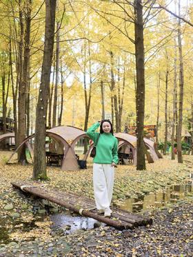 闪照第458期 赴一场色彩的盛宴