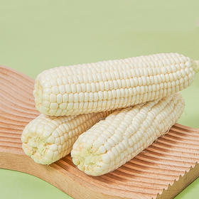 【玉米甜甜】可生吃还会爆汁，18度甜，非转基因，扒皮就能直接吃的水果玉米，一口沦陷