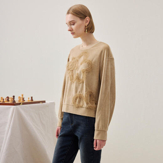 谜底短款卫衣长袖2025年冬季新品软糯斑驳绣花微落肩女254MV1502 商品图1