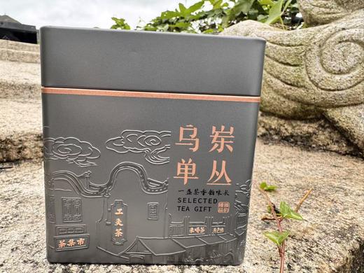 2025春  夜来香单丛——陂头种  十大香型之夜来香  125克 商品图0