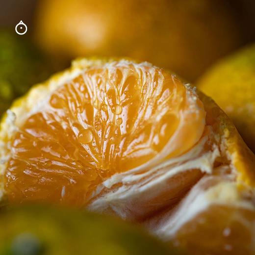 企鹅市集|浙江涌泉蜜桔 家庭装/礼盒装可选 爆汁橘子 高山橘园自然生长 商品图5