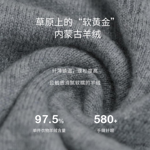 双翻领羊绒女套衫    DSF13W009N 商品图2