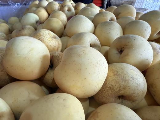 黄金富士苹果瑕疵果4.3斤【基地直发】产地：山东烟台 商品图4