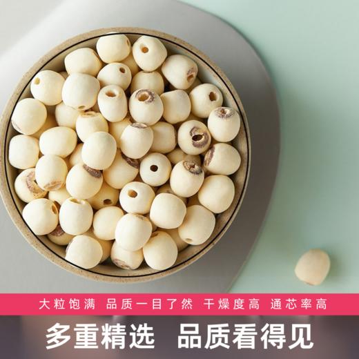 武汉 怀德堡 干莲子 商品图2