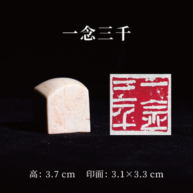 王志敏篆刻印章3.1x3.3x3.7CM丨一念三千 手工篆刻印章作品