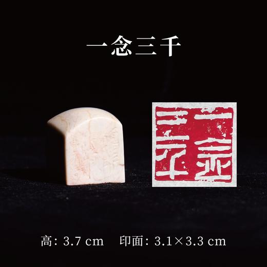王志敏篆刻印章3.1x3.3x3.7CM丨一念三千 手工篆刻印章作品 商品图0