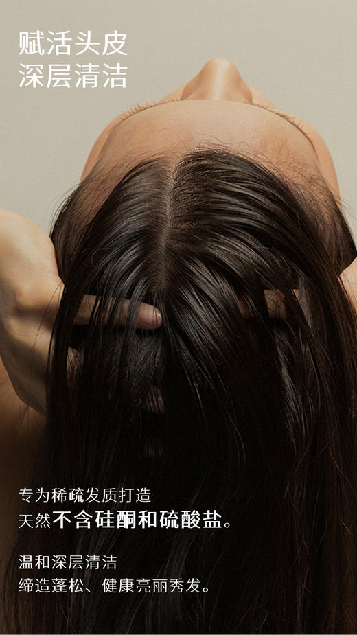 【拍】片剂 商品图0