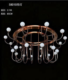 58010吊灯（运费自理）