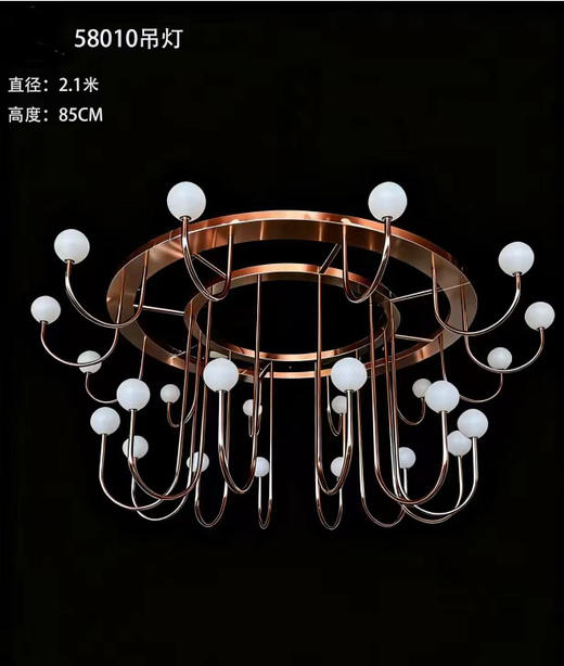 58010吊灯（运费自理） 商品图0