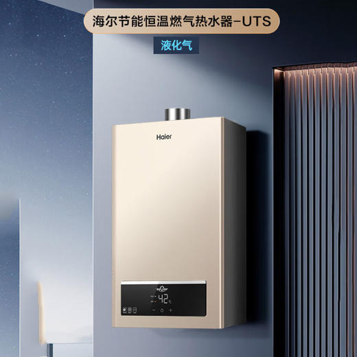 海尔（Haier）12升燃气 热水器 家用煤气 即热恒温 智能变升 强排式 防冻 厨房卫生间洗澡12UTS液化气 商品图0