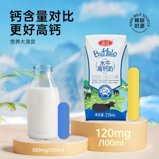 【分仓直发包邮】左江水牛高钙奶210ml*10盒/箱 商品图5