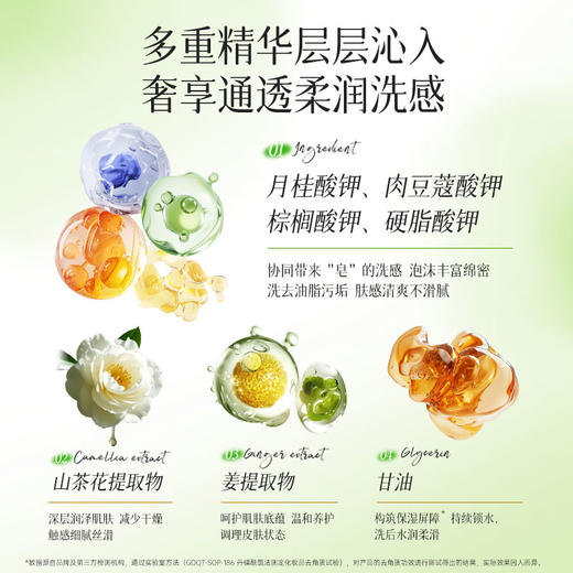 新品上市 卓蓝雅姜山茶语系列精油沐浴露650ml 滋润不假滑 洁净不拔干 商品图6