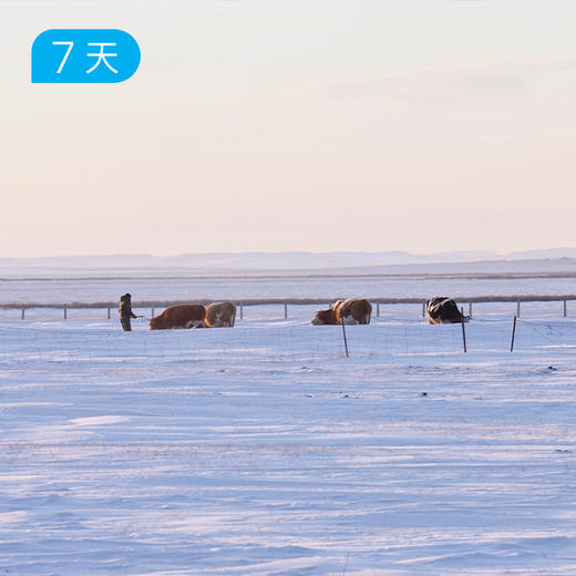冬季呼伦贝尔+漠河｜20公里雪原轻徒步 北国之境&冰雪跨年 7日 【赠送价值219元戴适防水保暖帽】 商品图1