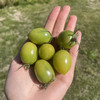 蜜露青甜绿小番茄双拼（千禧+青口蜜） 2/3斤 商品缩略图2