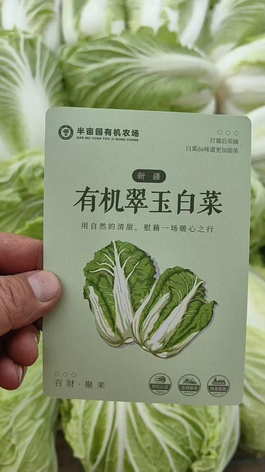 新疆有机翠玉大白菜，带有机码可溯源
自然生长，无化学农药
包装简单，保留原汁原味
新鲜送达，吃着放心 商品图4